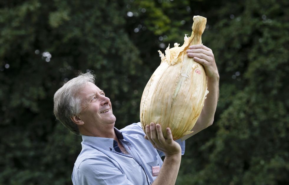Record-breaking 9kg onion displayed at Harrogate Flower Show