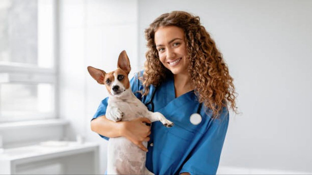 Gen Z considers coffee machines and air fryers to be 'essential items'