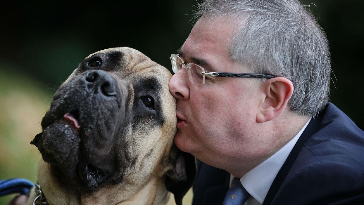 Geoffrey Cox MP gives his bullmastiff dog George a kiss during the Westminster Dog of The Year competition , 2011