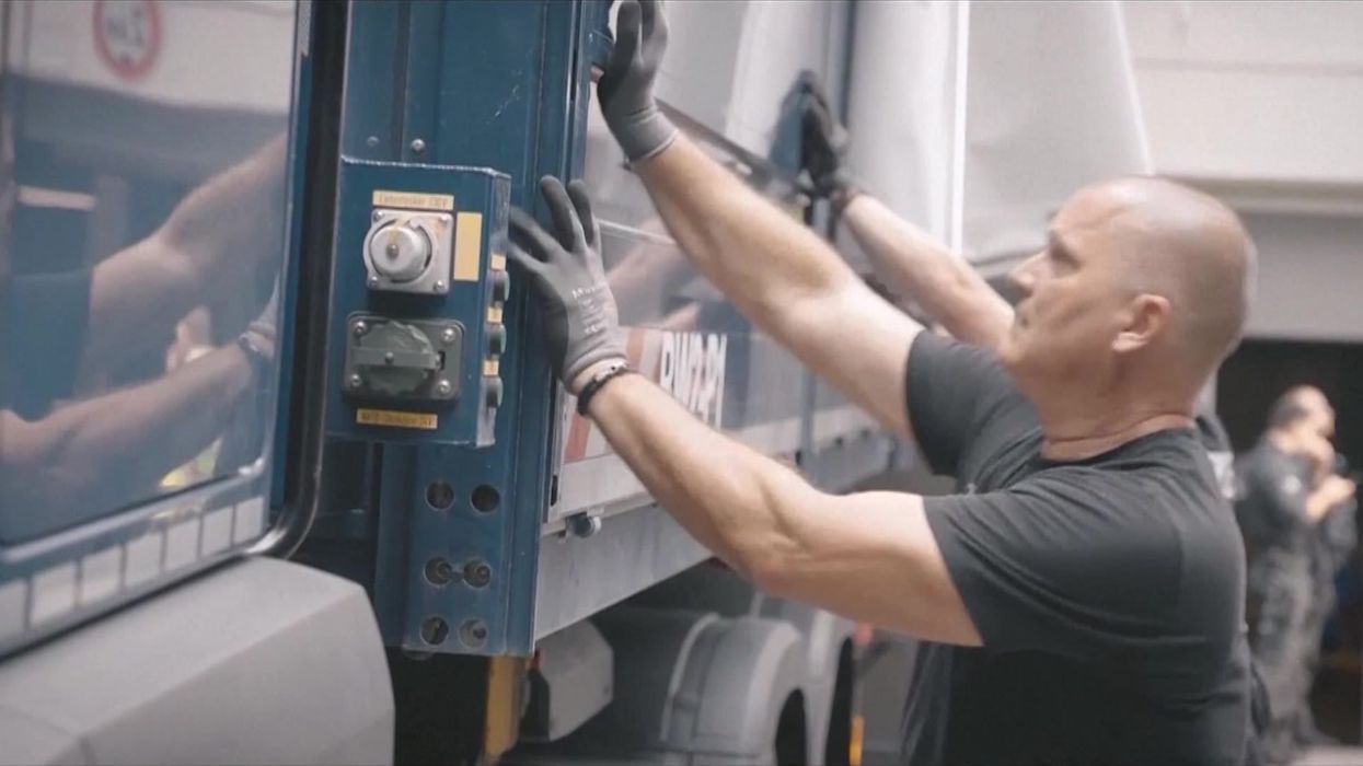 Sharks in Brazil test positive for cocaine as drugs dumped into ecosystem