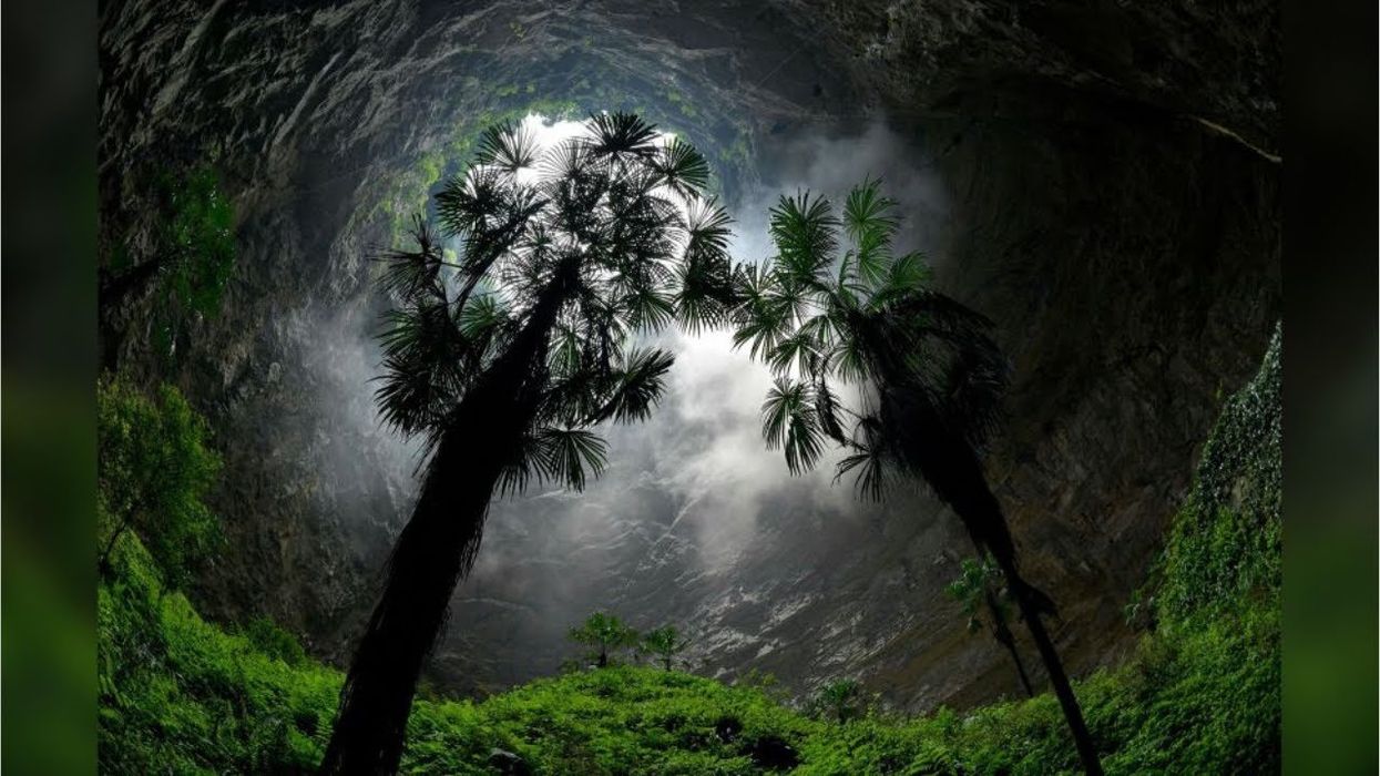 Giant sinkholes discovered containing untouched ancient forests