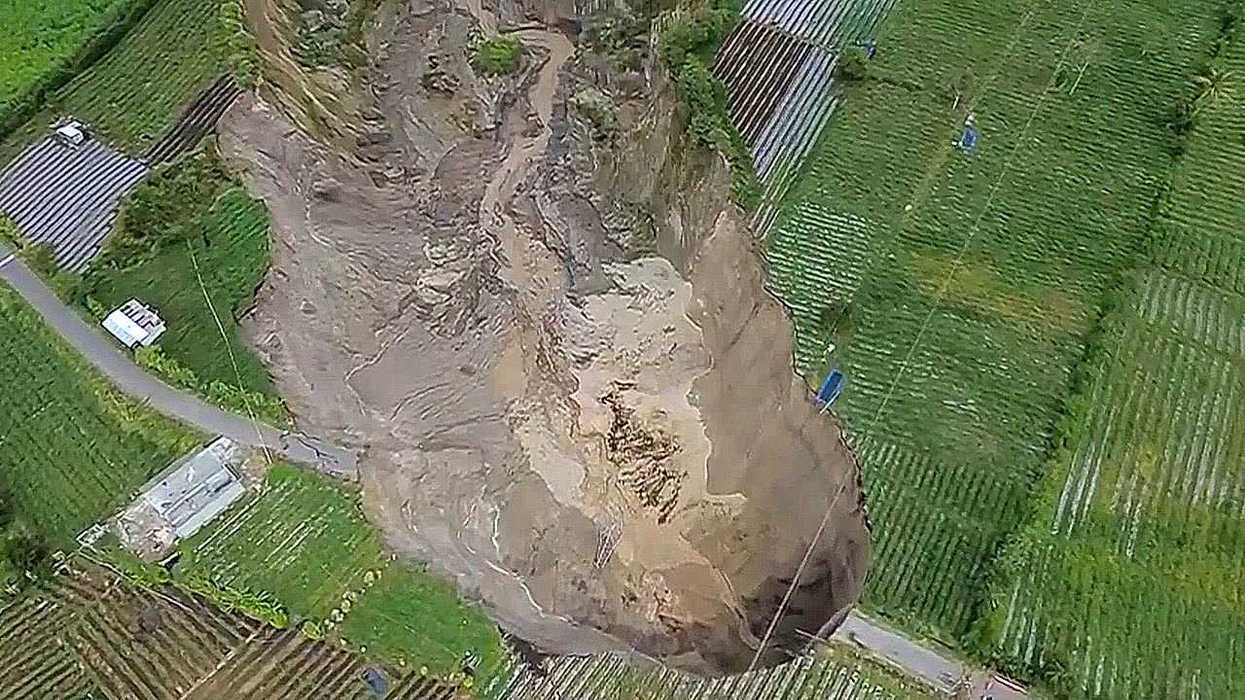 Giant sinkholes discovered containing untouched ancient forests