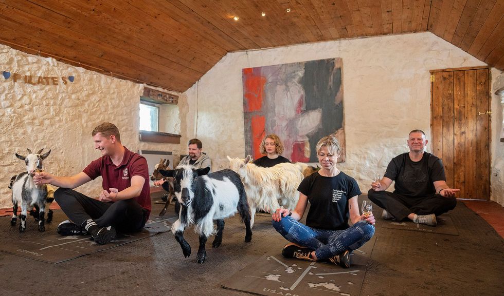 Pilates fans enjoy blend of whisky and goats at special tasting event