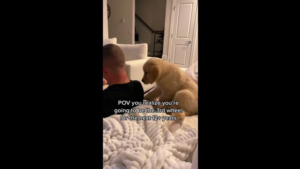 What is the 'boyfriend air' theory?