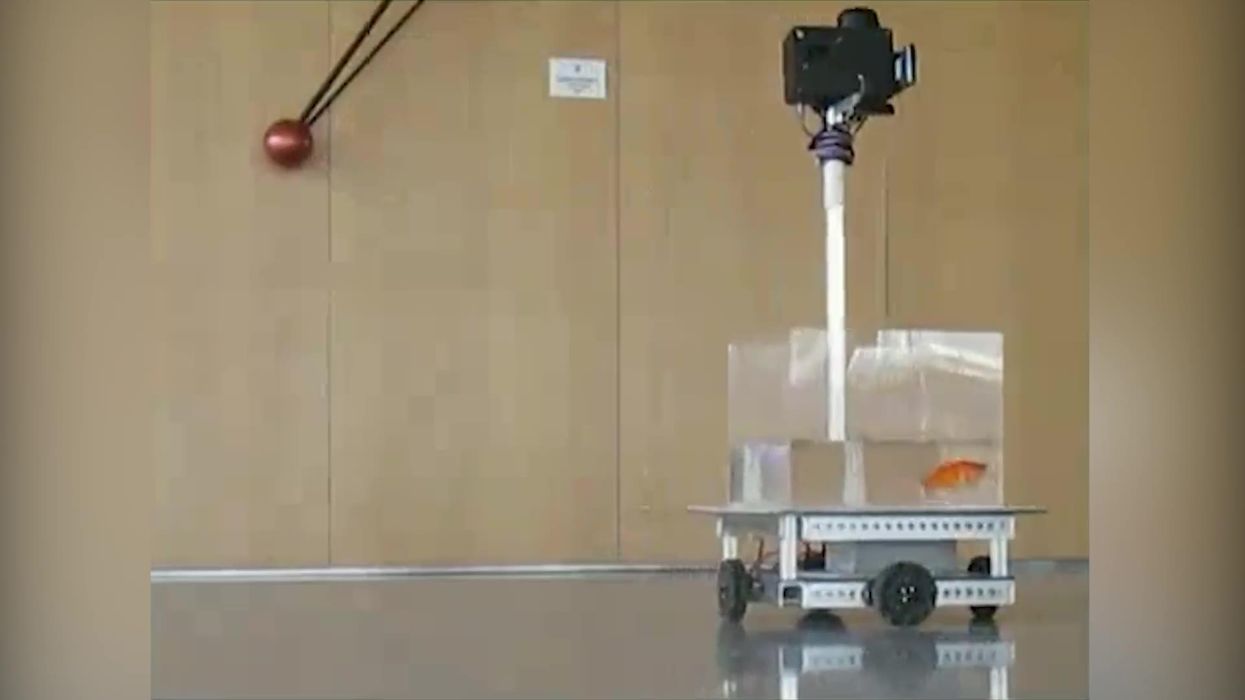 Woman jailed for taking over 150 driving tests for other people