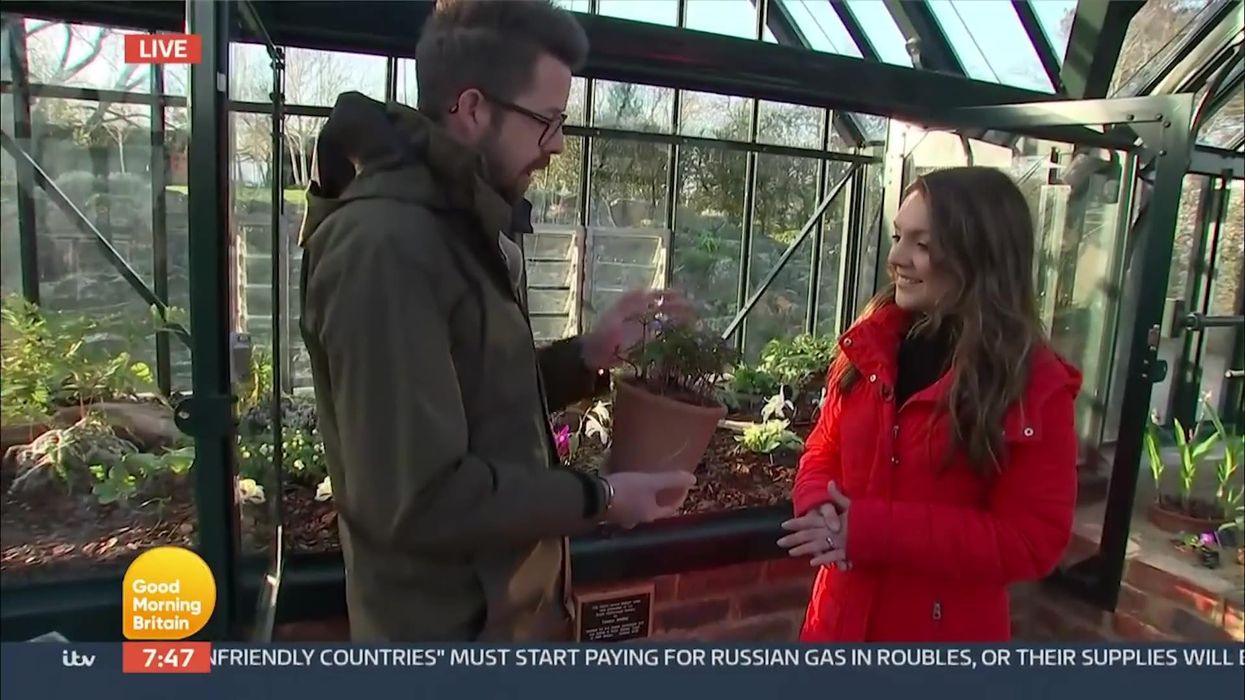 GMB's April Fools Day prank divides viewers