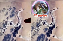 Giant 'Snake Skeleton' found on Google maps: Watch viral video
