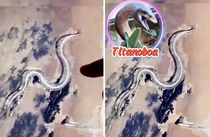 Giant Snake Skeleton on Google Maps: Real or Fake