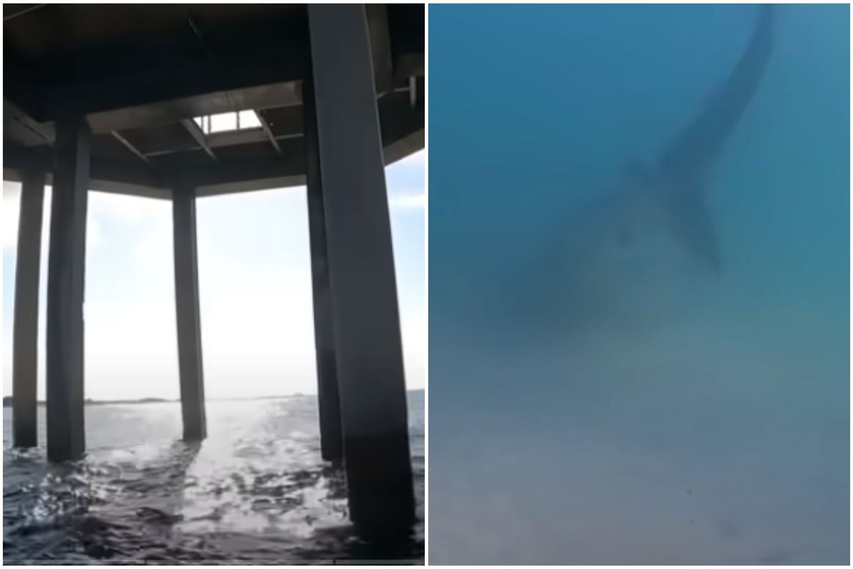 Man drops GoPro off 'world's most dangerous pier' and the results are terrifying