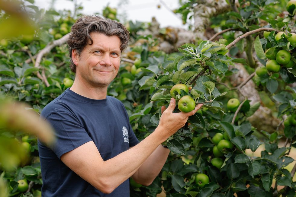 European protected status a ‘game-changer’ for Armagh Bramley apple growers