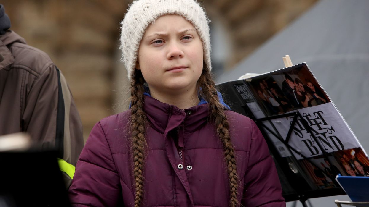 <p>Greta Thunberg is among the public figures featured on the targets</p>