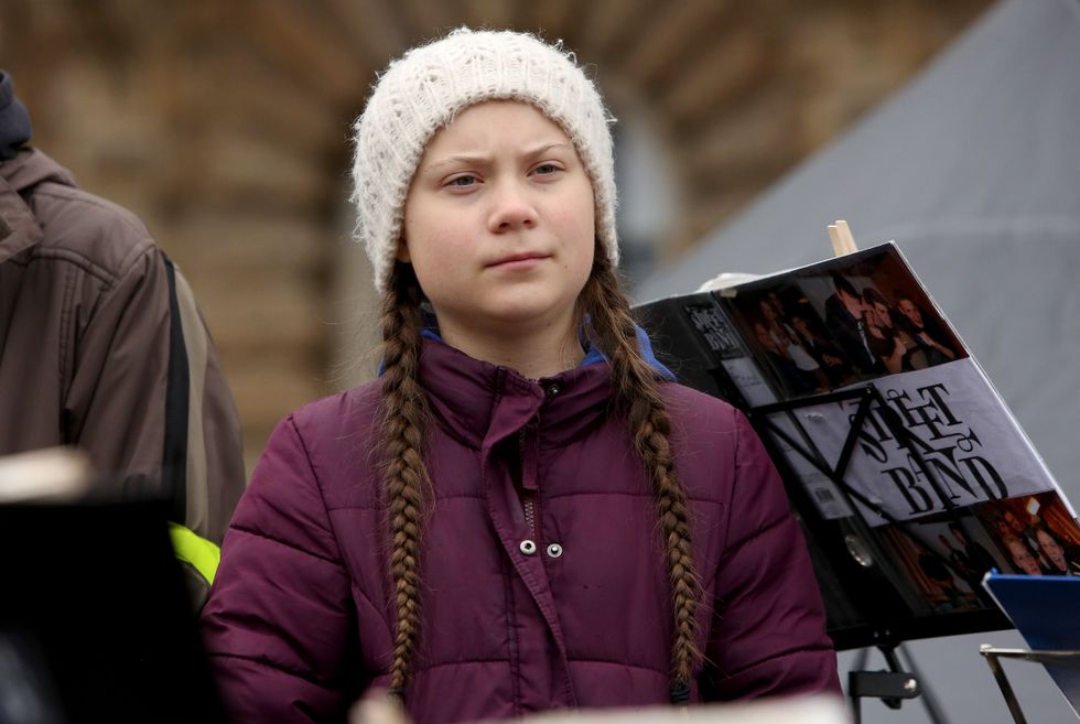 <p>Greta Thunberg is among the public figures featured on the targets</p>