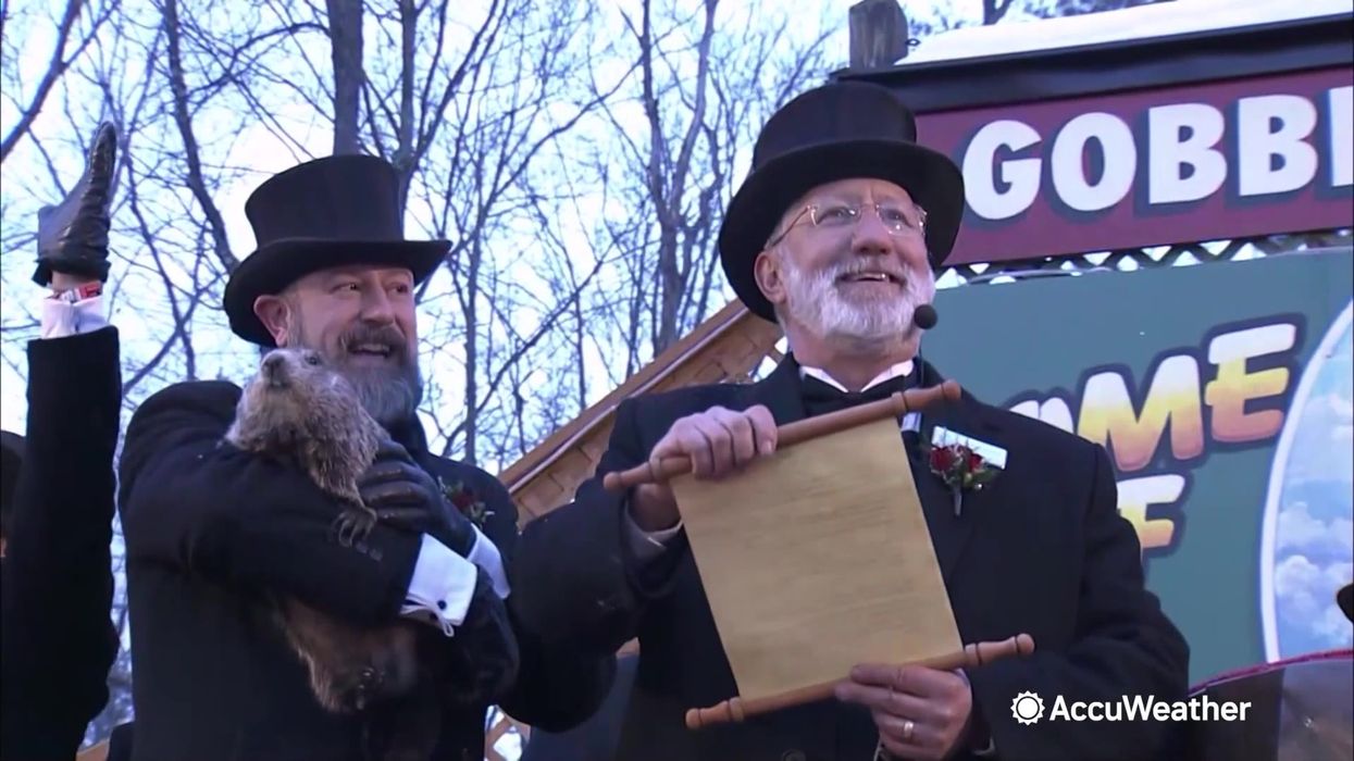 Groundhog Day: New study reveals how accurate groundhog weather forecasts are
