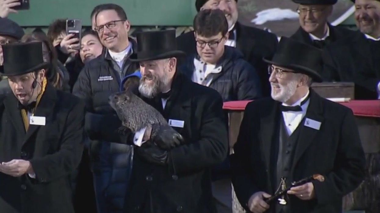 The best Groundhog Day memes as Punxsutawney Phil makes his weather forecast