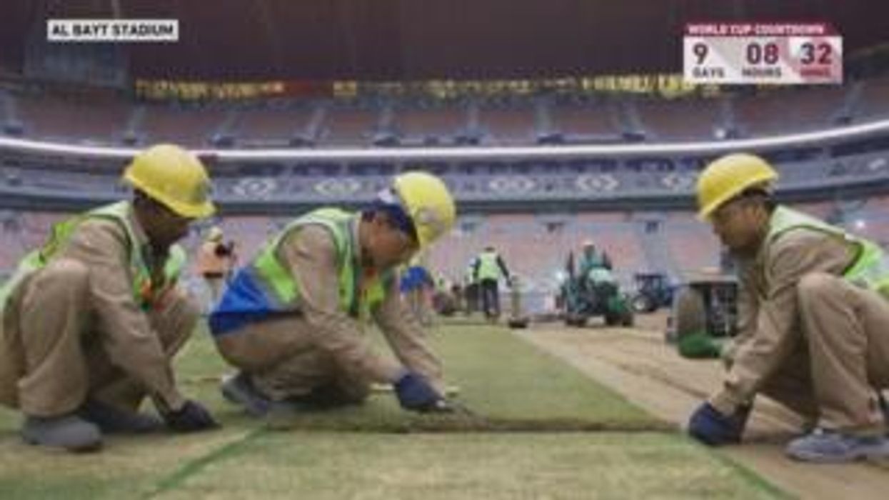 'Get laid by the best’: Artificial grass company see risqué advert banned
