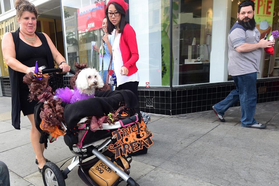 Growl-a ween Parade through Old Town in Pasadena, California on October 26, 2014.