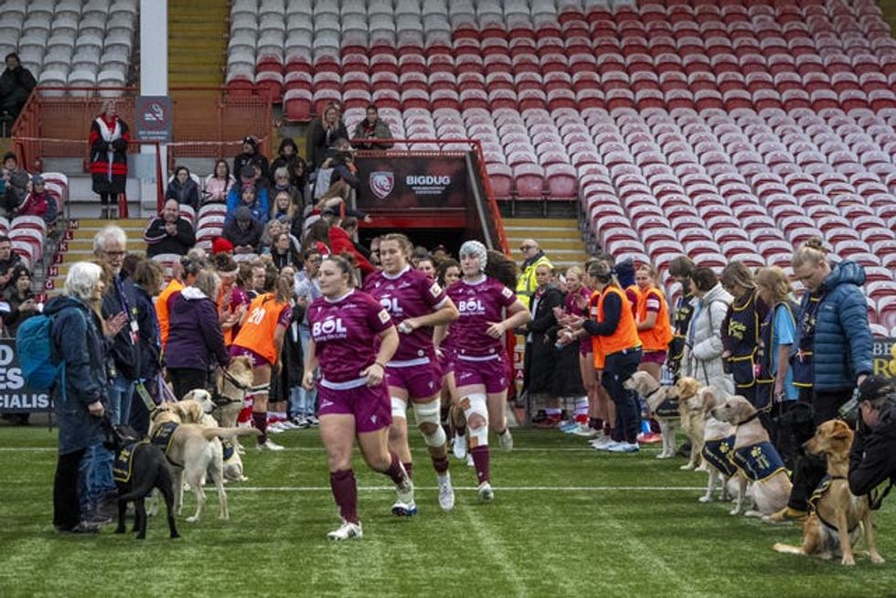 Guide Dogs puppies line up to form a guard of honour for players during the Gloucester Hartpury v Sale Sharks Premiership Women\u2019s Rugby match at Kingsholm Stadium in Gloucester
