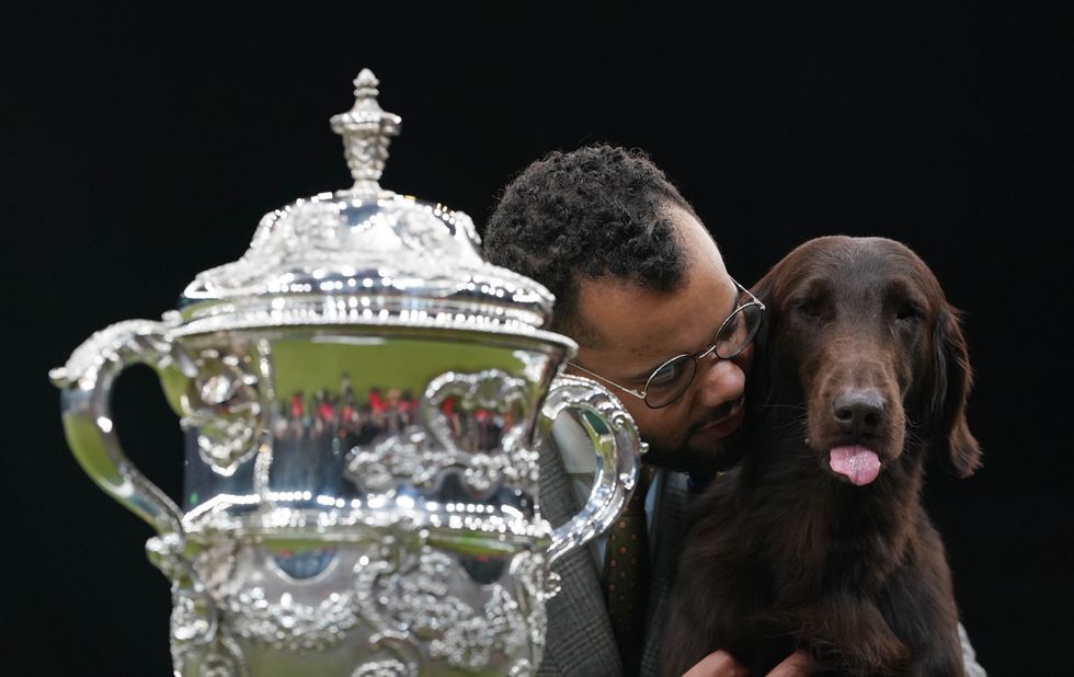 Baxer the flat-coated retriever crowned Best in Show at Crufts