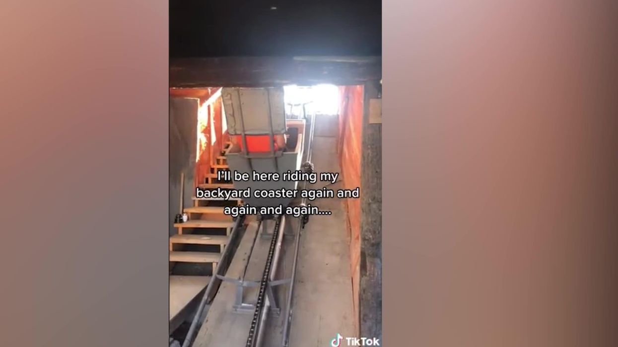 Disney fanatic builds rollercoaster from scratch in his backyard