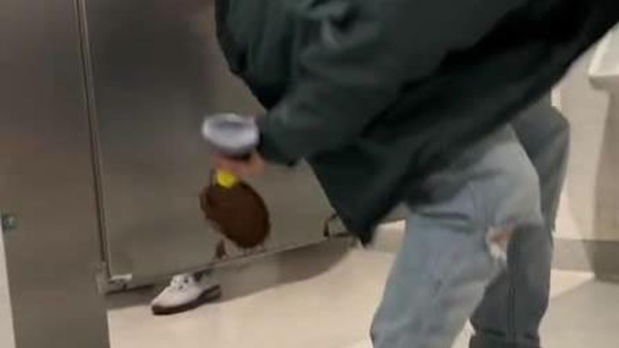 Police officer who gave ’faeces sandwich’ to homeless man fired for second time