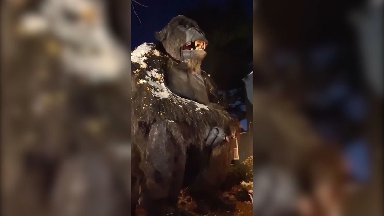 Halloween obsessive reveals huge decorations covering house - including six-metre dragon