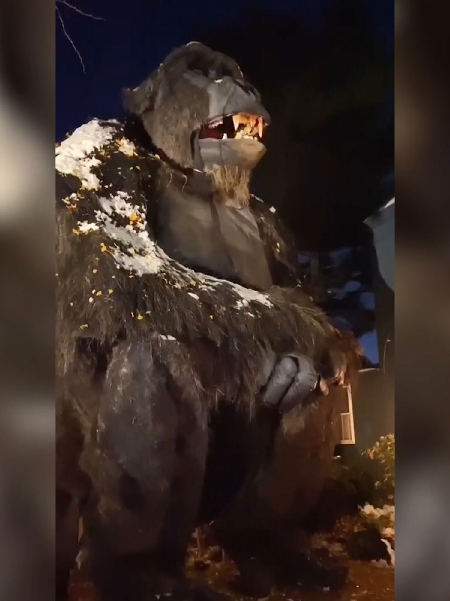 Halloween obsessive reveals huge decorations covering house