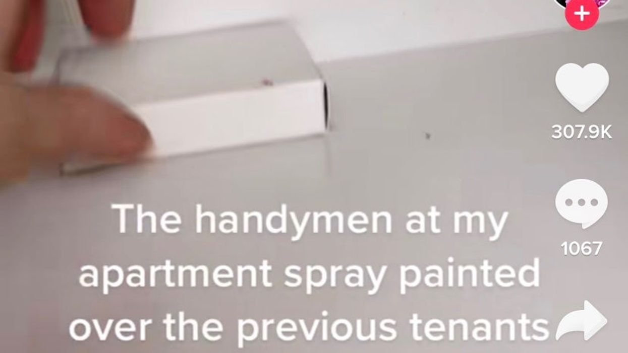 <p>Handymen spray-painted over snacks in a woman’s apartment pantry. </p>