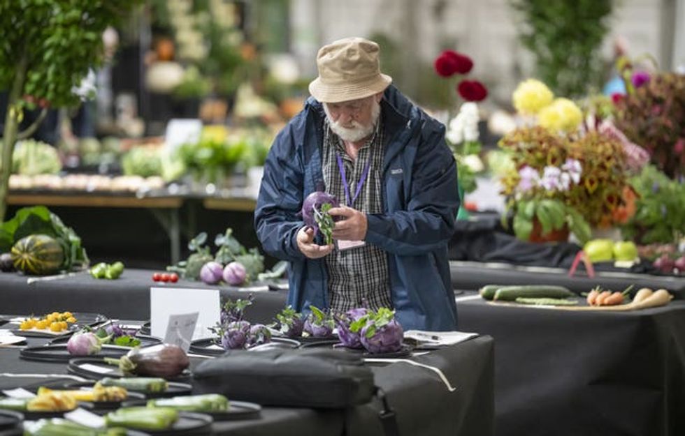 Harrogate Autumn Flower Show