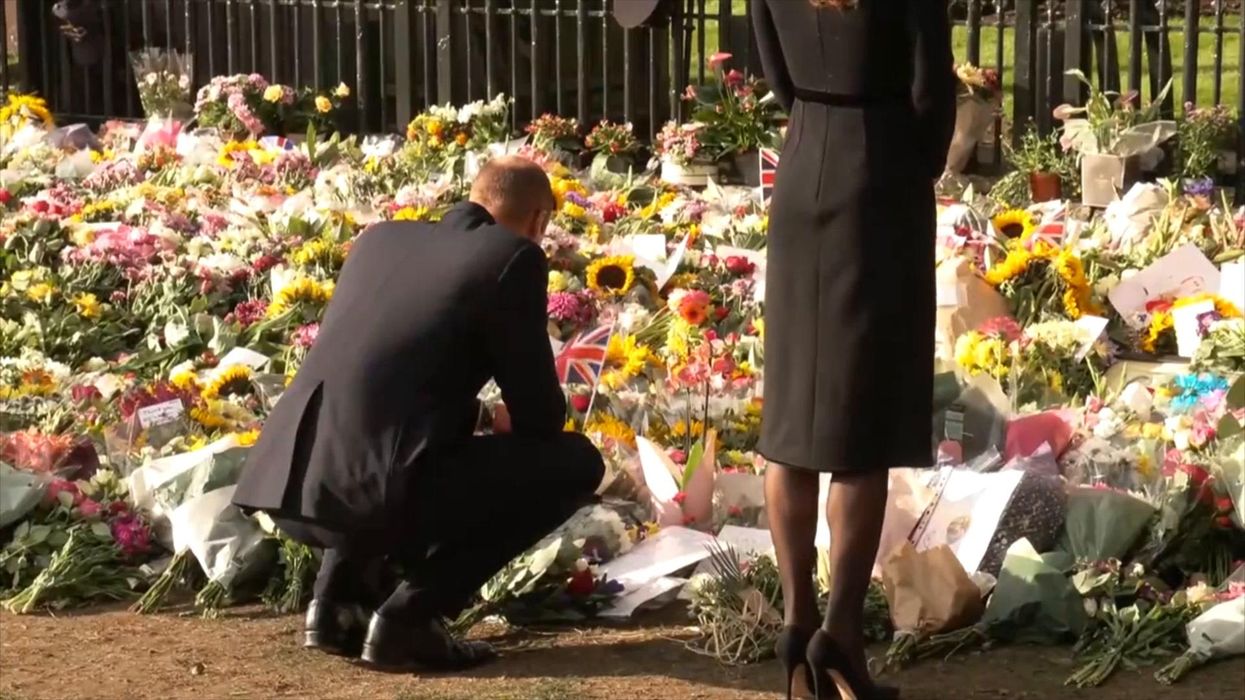 Dog gets stuck on wrong side of barrier at Windsor during royal walkabout
