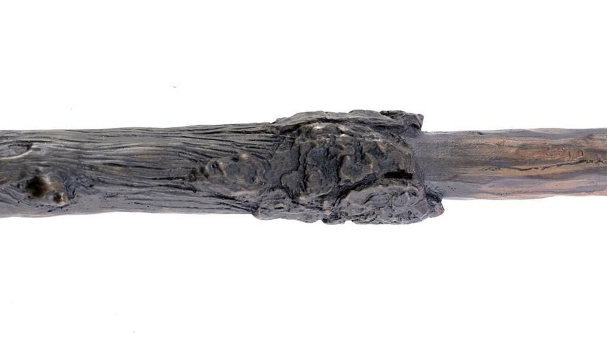 Harry Potter's wand