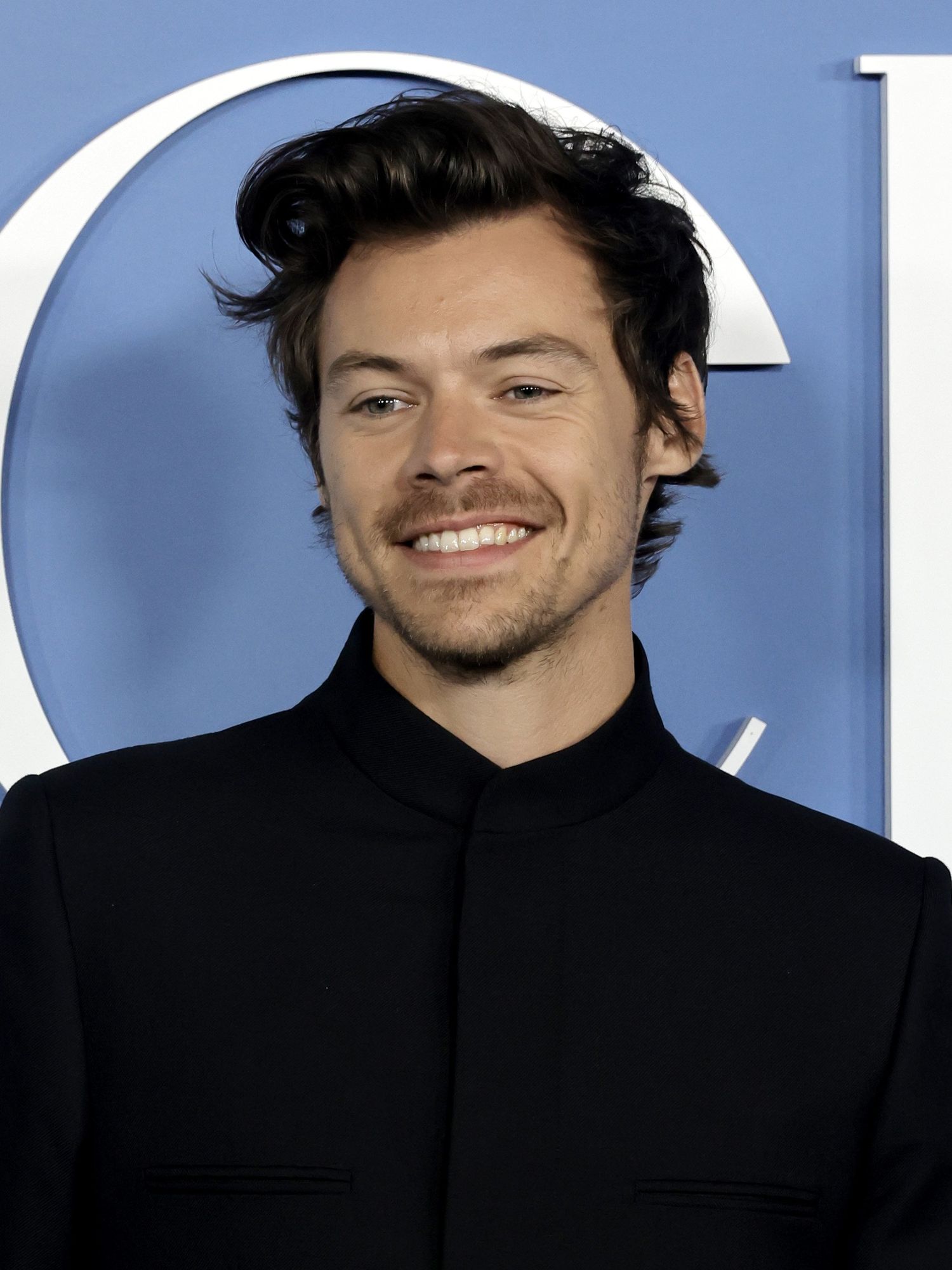 Harry Styles experts wanted for tour guide job in singer's home village