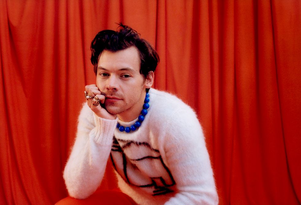 Harry Styles finds new direction on CBeebies Bedtime Stories
