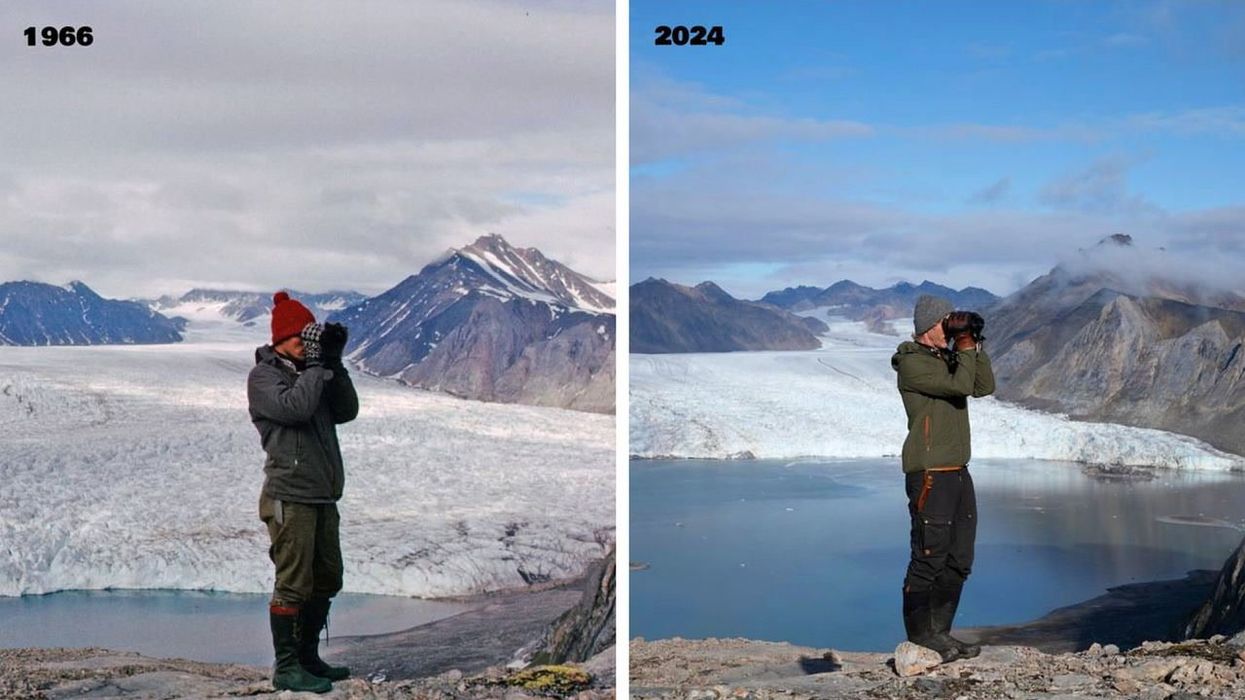 Scientists deliver terrifying Arctic ice warning ahead of worrying milestone