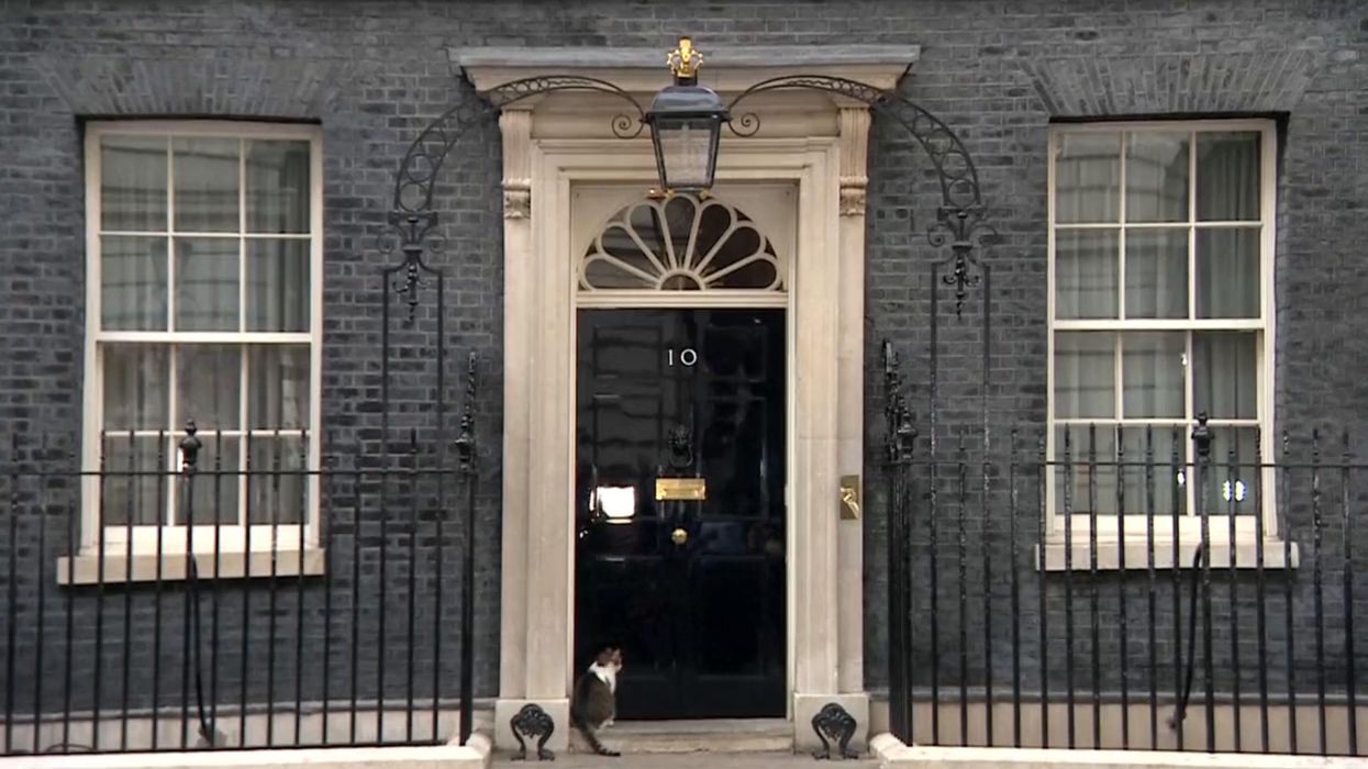 Downing St cat Larry asked by reporter if he'd told prime minister to resign