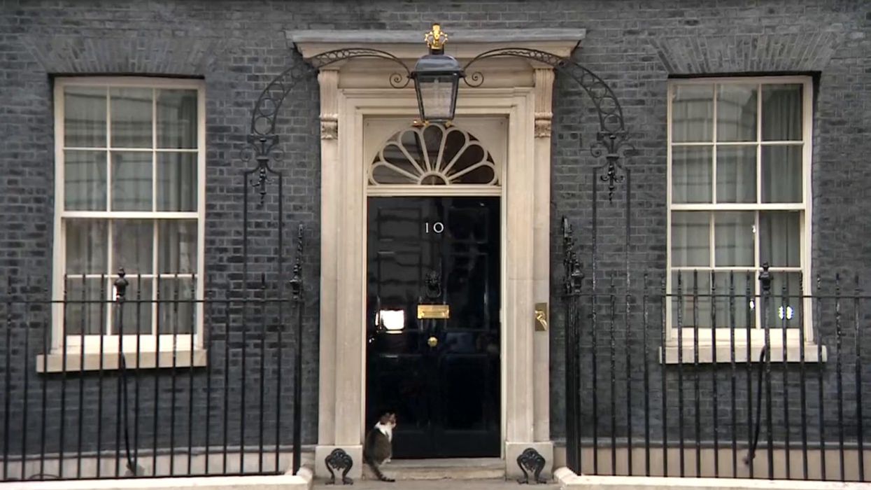 Downing St cat Larry asked by reporter if he'd told prime minister to resign