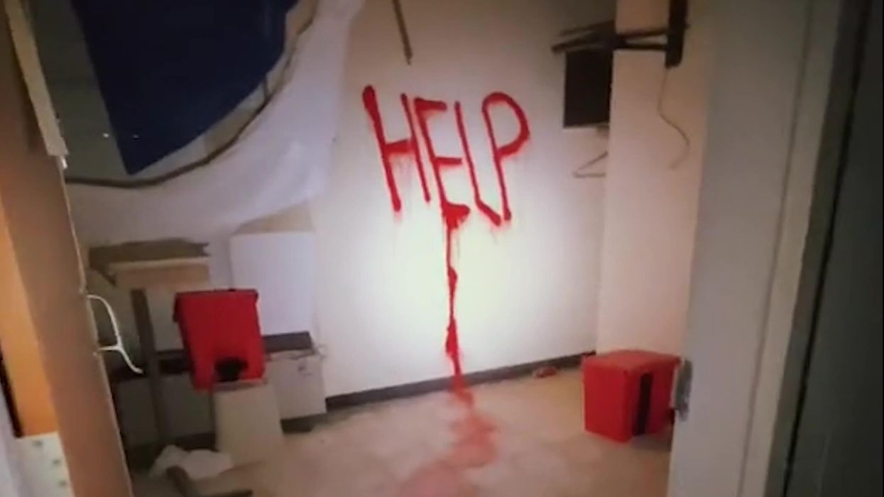 YouTuber shares footage of 'zombie shark' found in abandoned aquarium