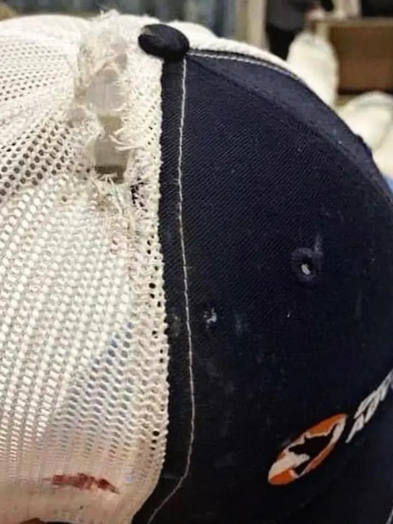Hero border agent's cap shows just how close he was to being killed in Texas massacre