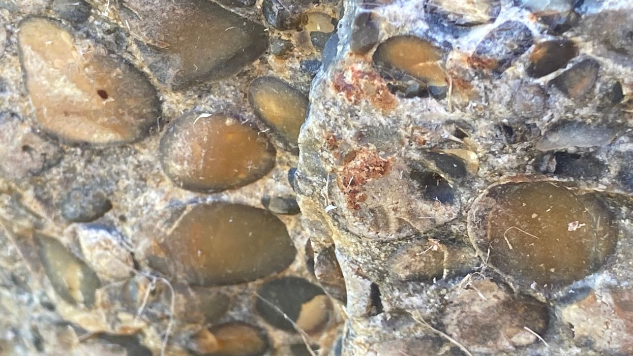 (Hertfordshire County Council)