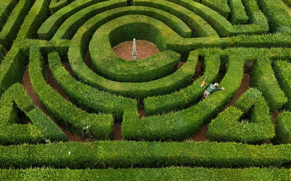 Hever Castle maze
