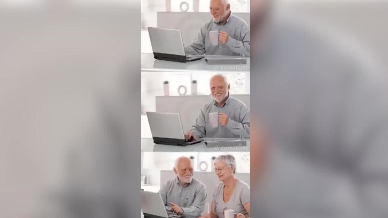 Hide the pain Harold insists he's a meme and not an influencer