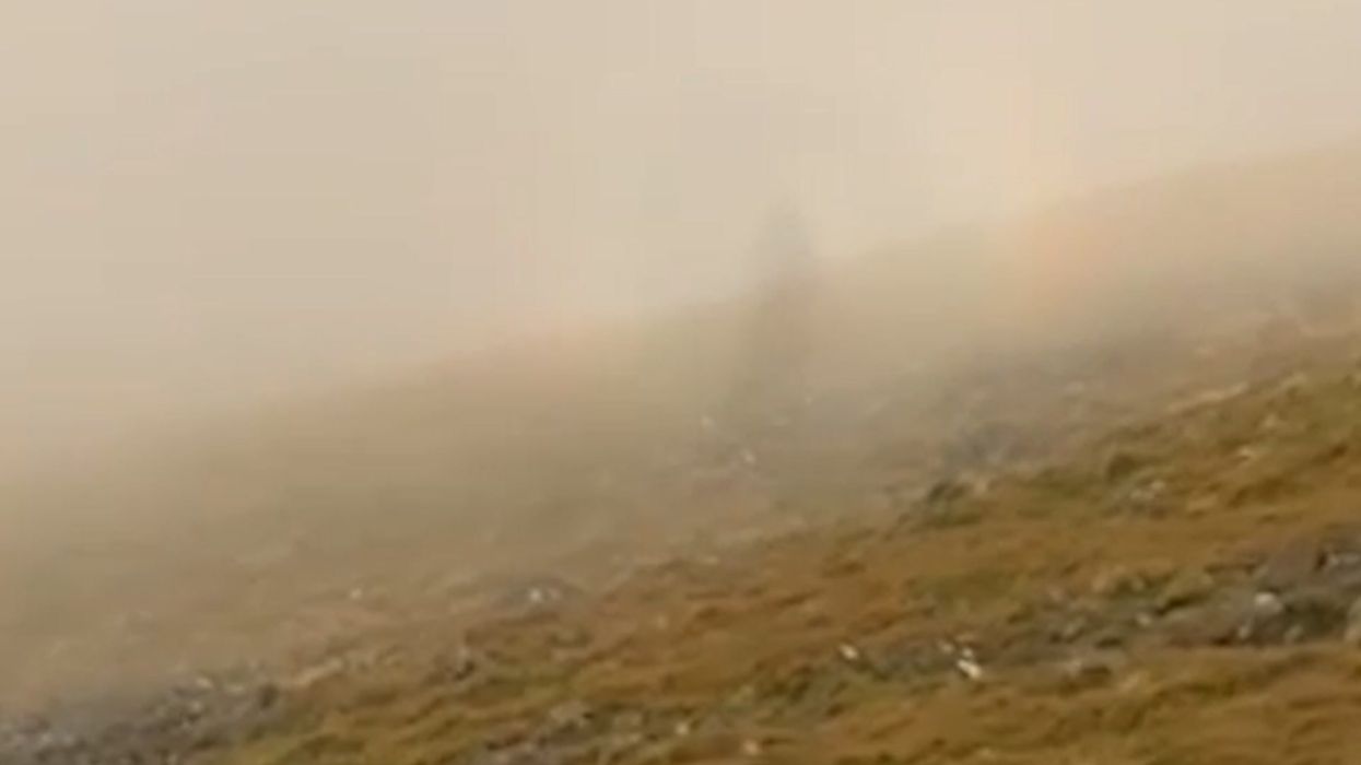 Bride claims her dead daughter appeared in her wedding photos