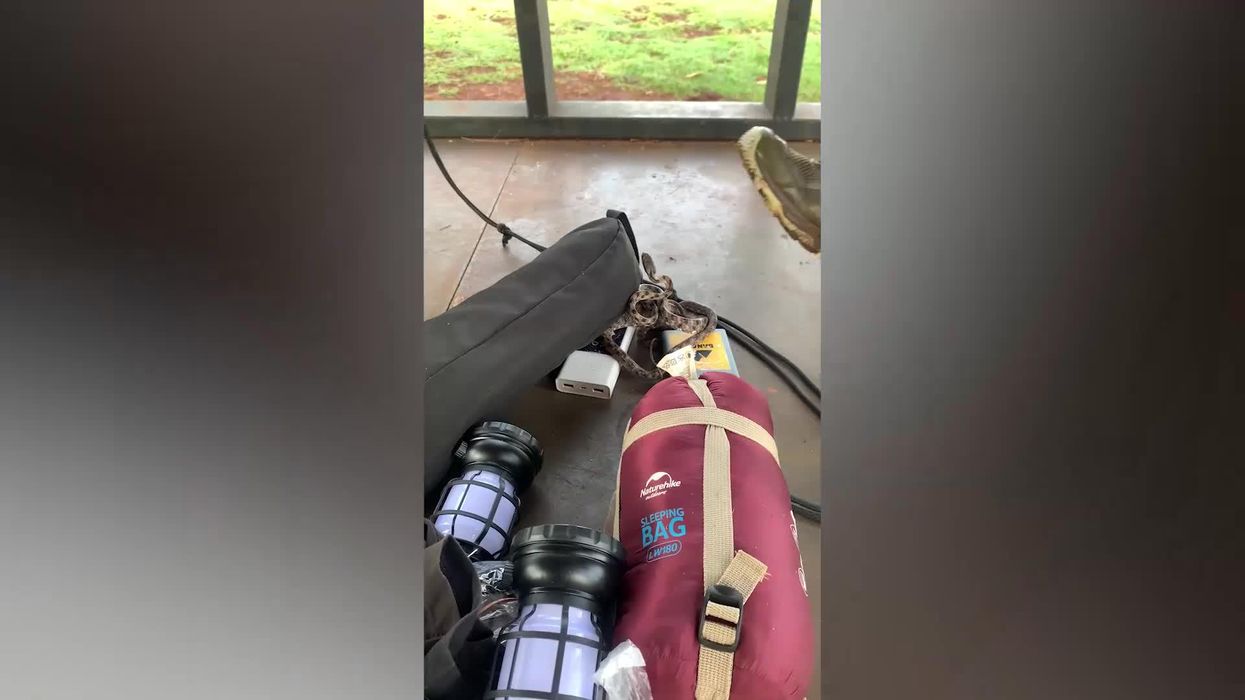 YouTuber criticised for camping near cliff that regularly crumbles into sea