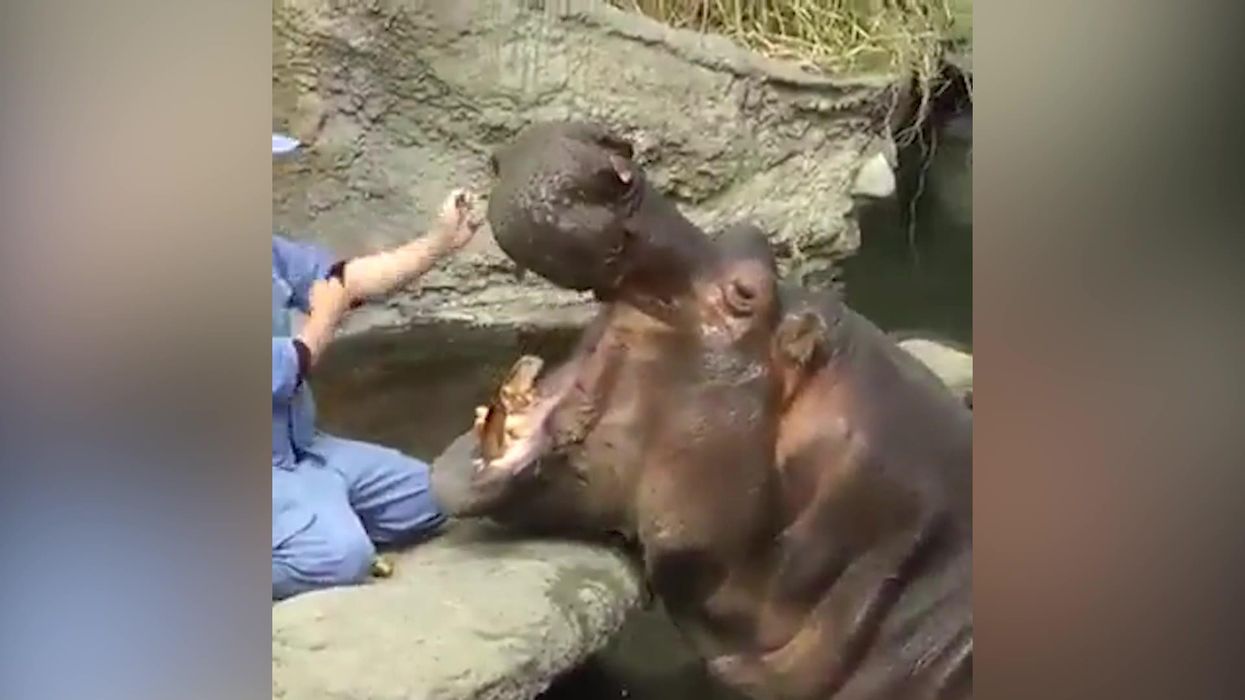 Woman reveals what it is really like to pay £3,200 for veneers in Turkey