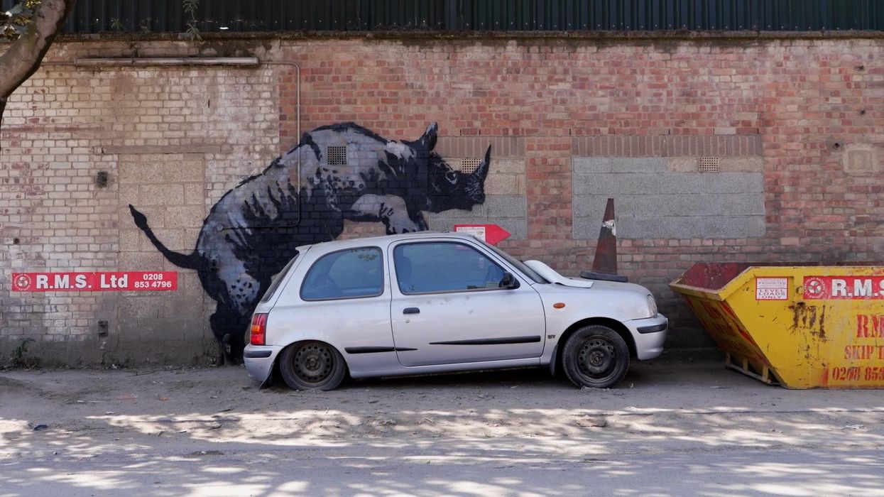 Zebra dies after being speared by rhino in tragic zoo incident