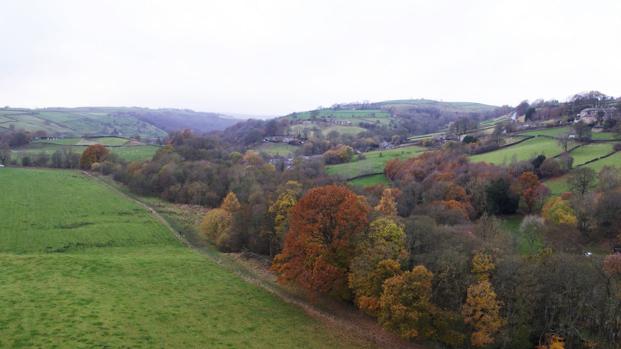 Holme House Wood which is being renamed and extended in honour of Captain Tom (Woodland Trust/PA)
