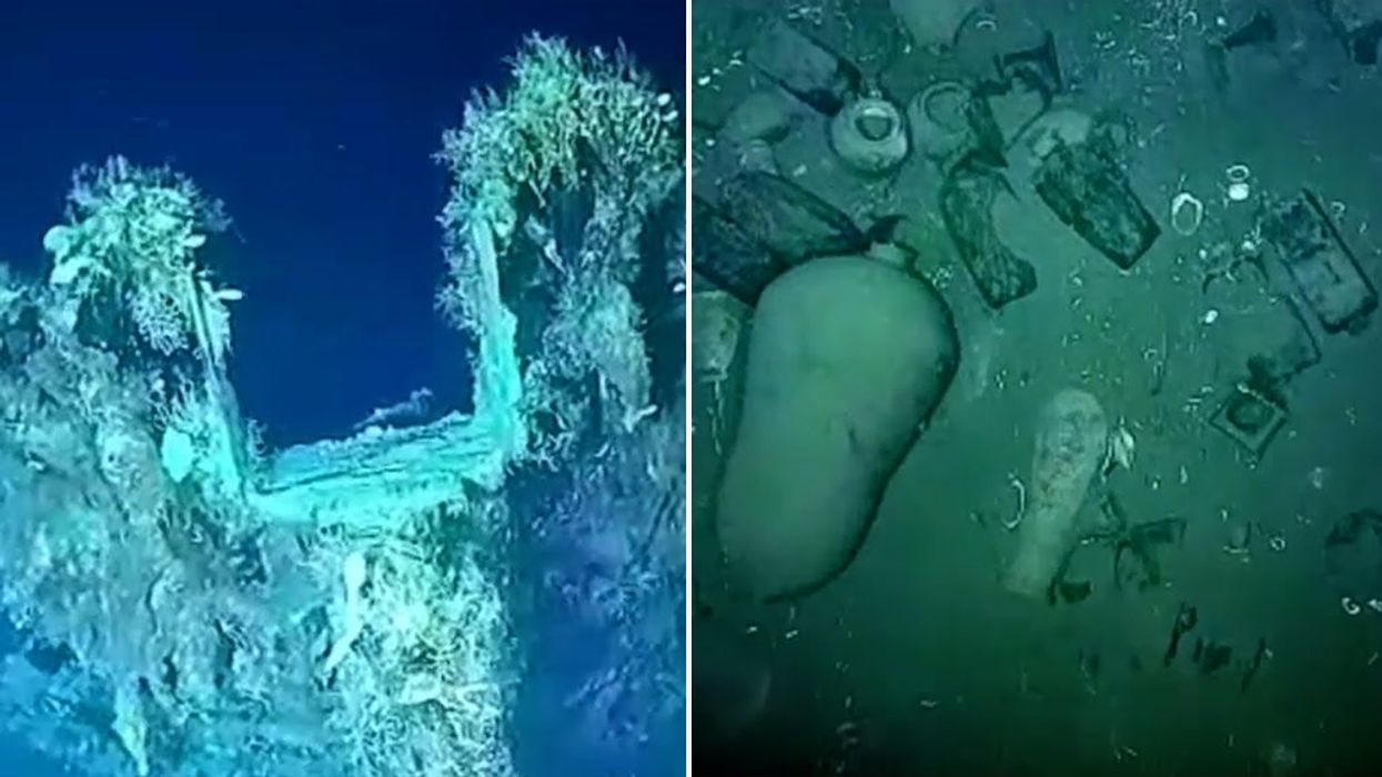 Gigantic 'superstructure' growing since the age of dinosaurs discovered in the ocean