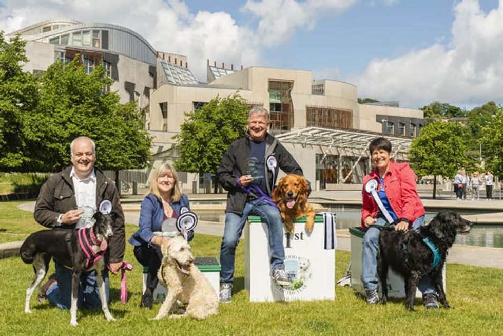 Holyrood Dog of the Year 2023