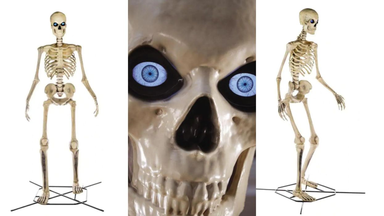 7 inch Home Depot Skeleton REVIEW & Size Comparison ( great for