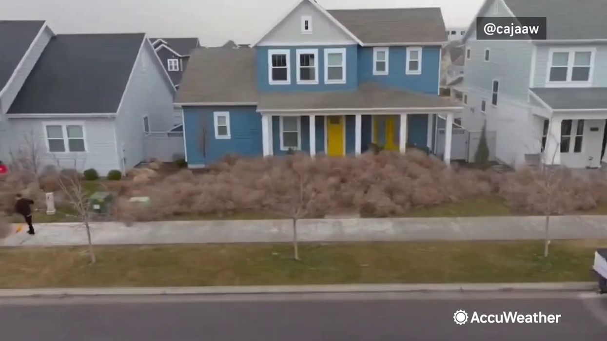 Town invaded by tumbleweeds in incredible footage