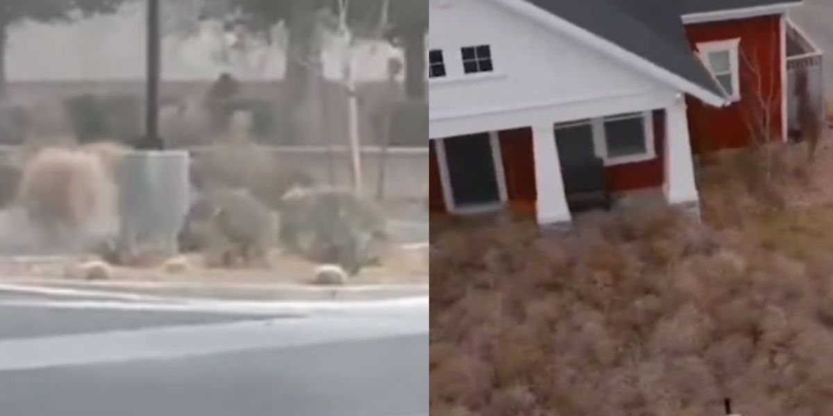 Tumbleweed Rising Town invaded by tumbleweeds in incredible footage | indy100